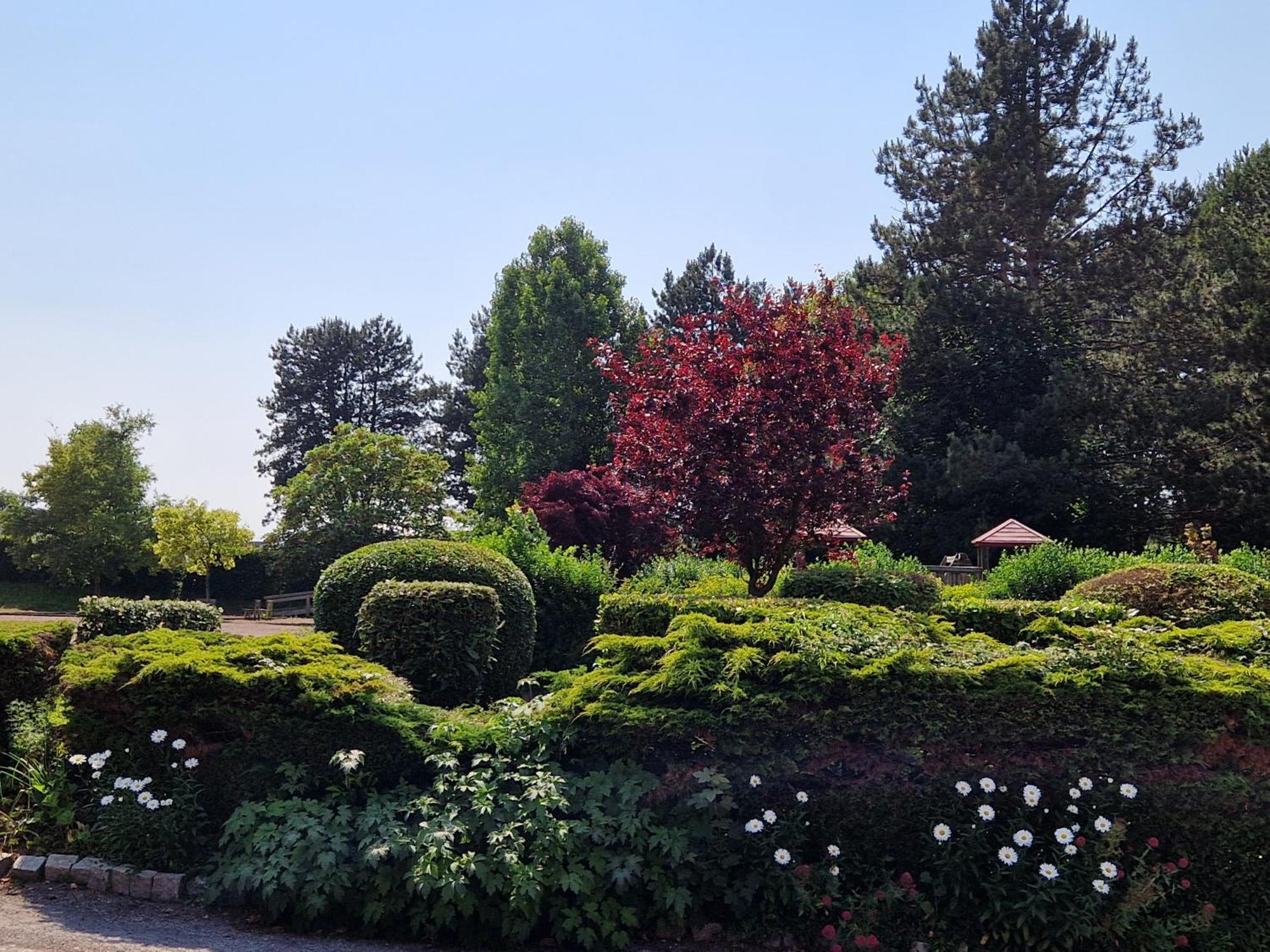Hotel Bal Tournehem Dış mekan fotoğraf