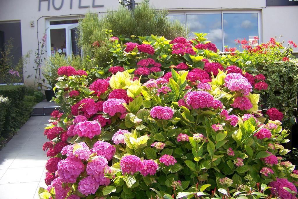 Hotel Bal Tournehem Dış mekan fotoğraf